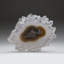 Quartz Stalactite Slice From Uruguay (271.8 Grams)