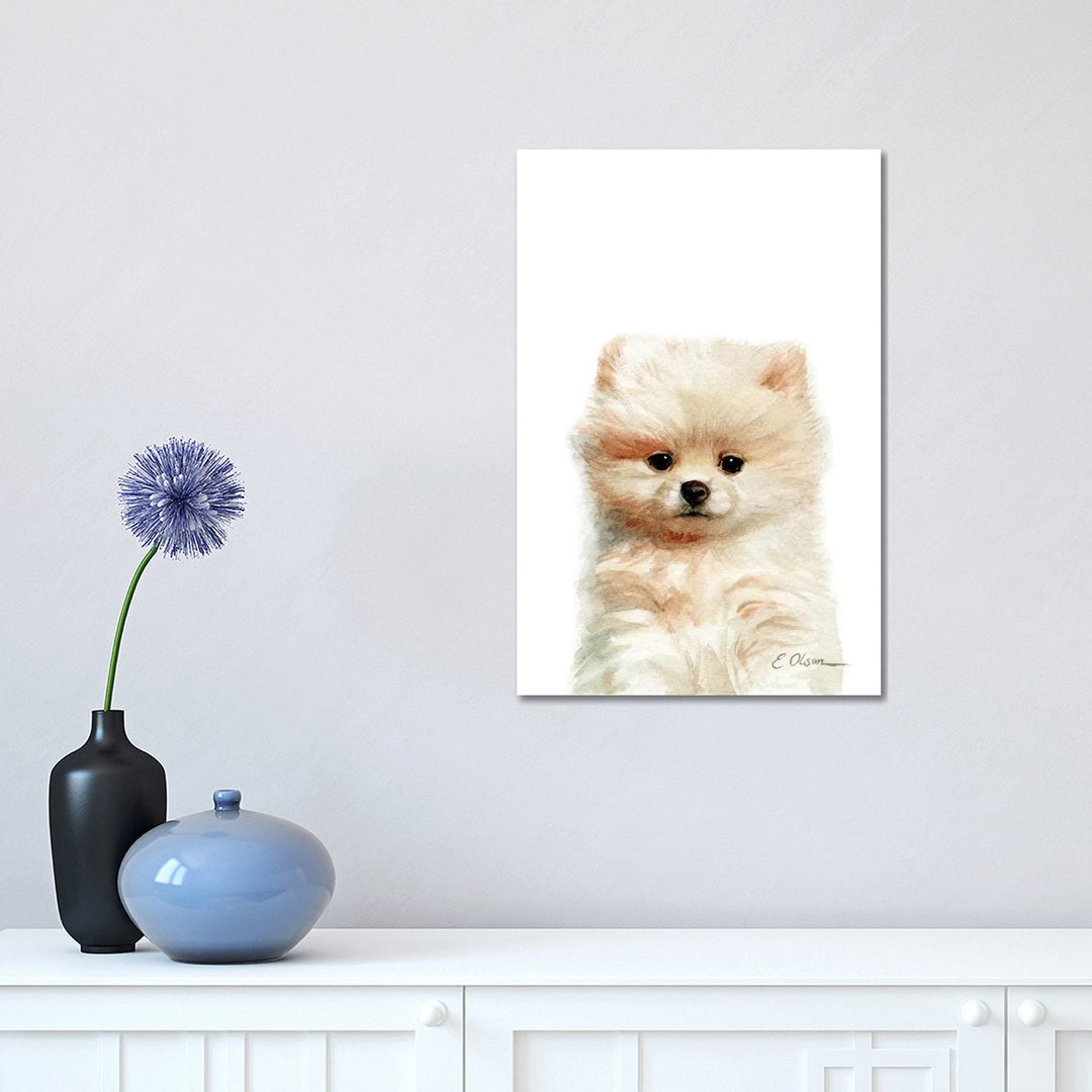 Pomeranian Puppy by Watercolor Luv - Wrapped Canvas Painting
