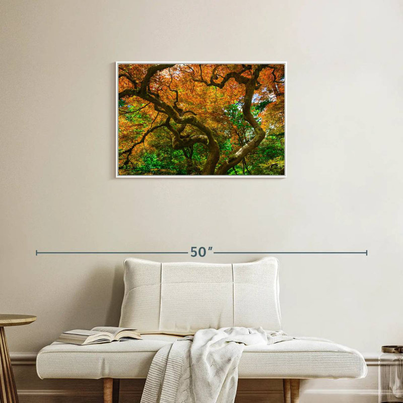Érable moussu, Cadre flottant blanc, 31 po x 21 po