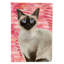 Ck3054gf de jardin à drapeau siamois chat love
