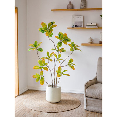 Ornement artificiel en ficus artificiel pour salon