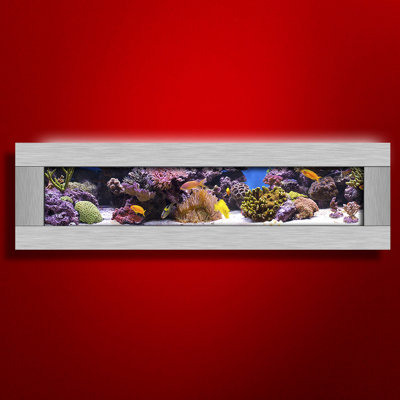 Traxler 11.5 Rectangle Aquarium Tank