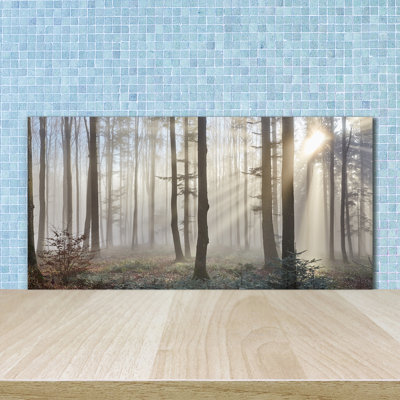 50cm W x 100cm L Glass Peel and Stick Panel
