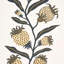 Schumacher x Marian Mcevoy Thistle Vine Wallpaper-207782867