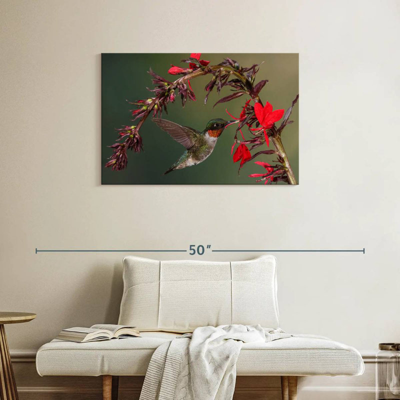 Brampt Fluttering Hummingbird
