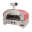 Outdoor/Indoor Portable Propane Gas Pizza Oven-73359467