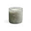 Paradiso Fig Classic Candle