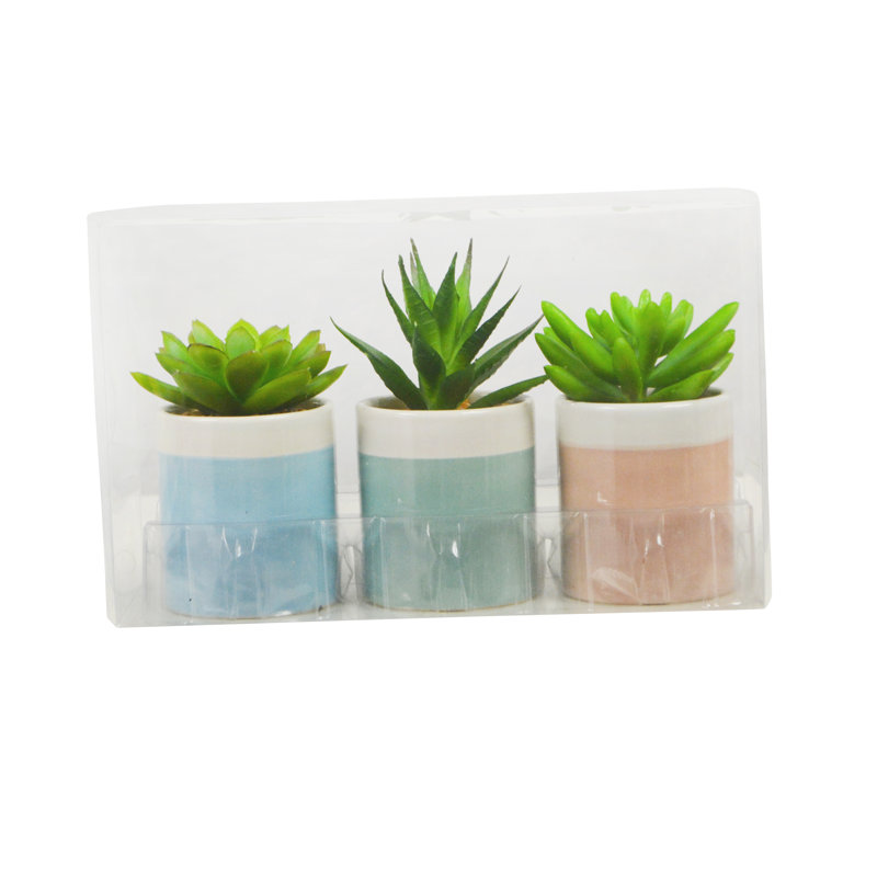 Ensemble de 3 plantes succulentes artificielles dans un vase coloré décoratif - ensemble de 3