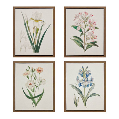 Herbal Botany 4Piece Botanical Illustration Framed Canvas Wall Art Set