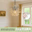 Shannon 1 - Light Chrome Crystal Pendant