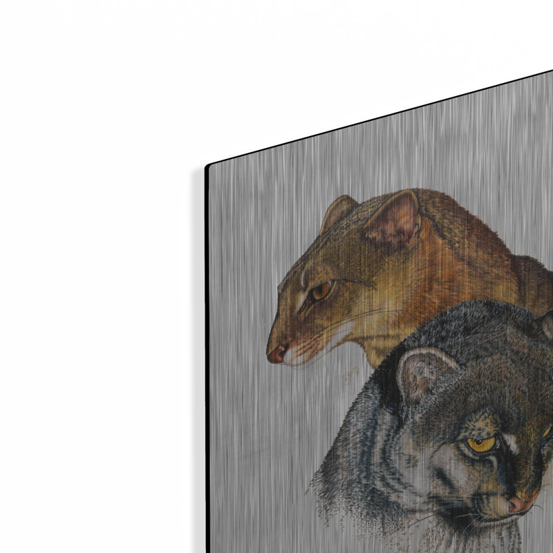 «Jaguarundi» par Barbara Keith, H 16 po x l 12 po