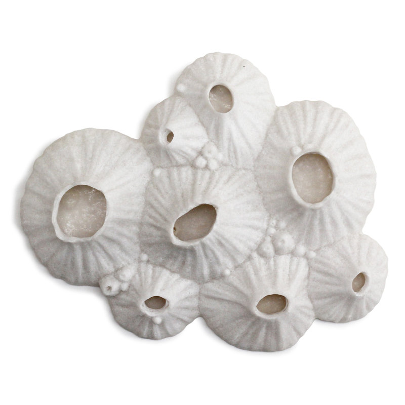 Paleo Barnacle Wall Art, 11.8'' H x 9.5'' W x 2.5'' D