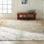 Ankica Abstract Area Rug-71370117