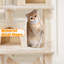 Tall Multi Level Cat Tree-1617641968