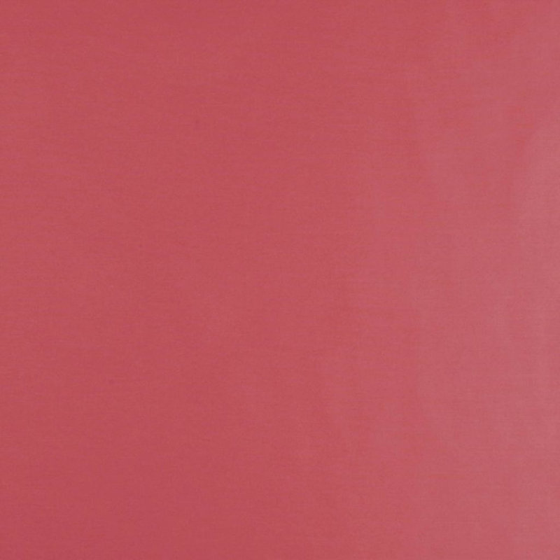 Talent Fabric, Lollipop