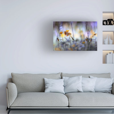 Heidi Westum In A Meadow Canvas Art
