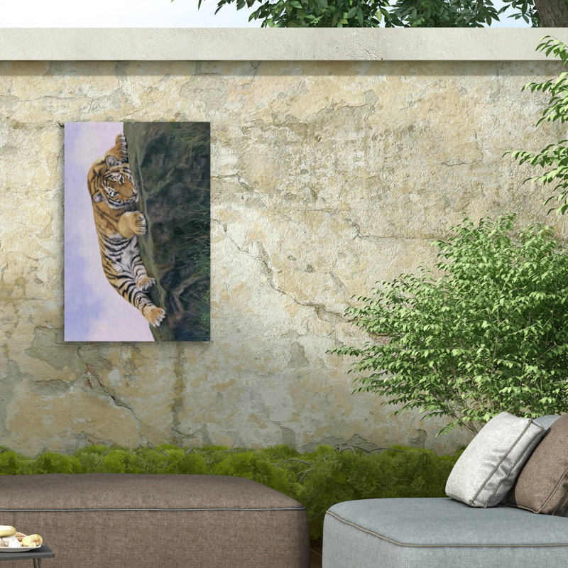 Toile extérieure David Stribble Young Tiger Rock, H 22 po x l 32 po