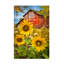 «Golden Sunflowers Red Barn» par Celebrate Life Gallery - peinture sur toile tendue-1912710980