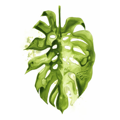 Monstera II - Wrapped Canvas Painting