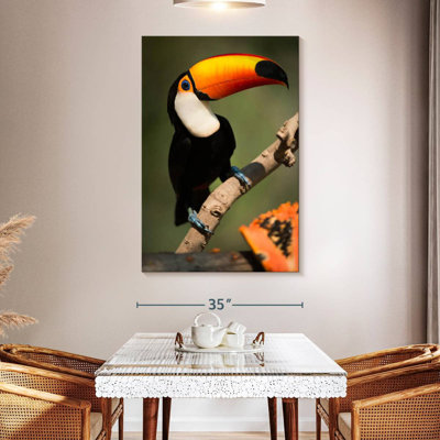 Adorable Toucan