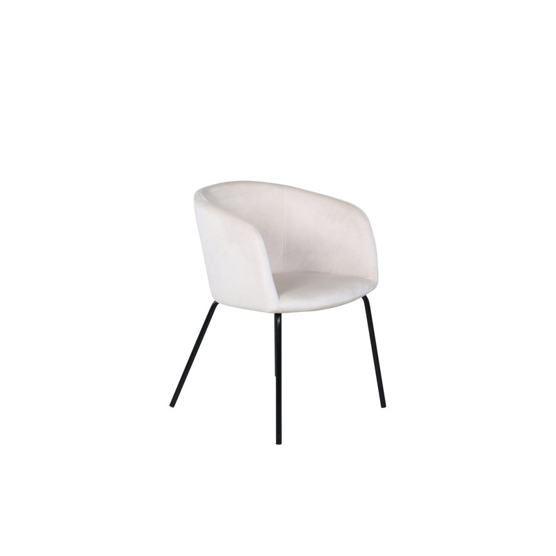 Dolson 49cm H Upholstered Armchair, White