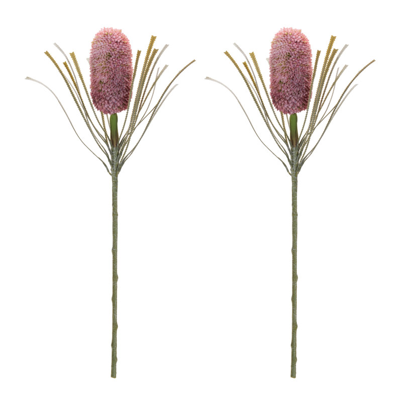 Tige florale Protea, Rouge