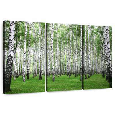 Alvord Birch Grove