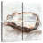 Yarlin Oyster Study II-109098886