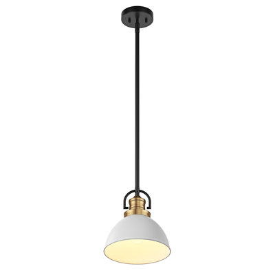 Luminaire suspendu à intensité variable 1-E26 Classic