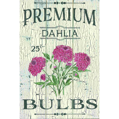 Ampoules Dahlia