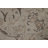 Distressed Traditional Area Rug 7x10