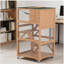 Maison d'extérieur en bois pour chat, maison pour animaux