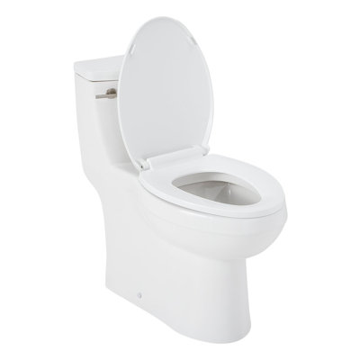 Brinstead 1.28 GPF One Piece Elongated Toilet