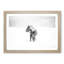 Wild Horse in Iceland - Picture Frame Painting Print-56739393-56739394