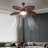 Radele 52'' Ceiling Fan with LED Lights