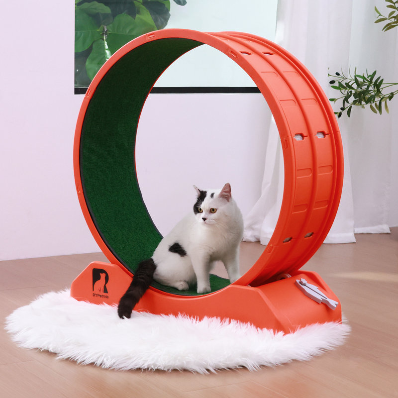 Plastic Cat Exercise Wheel With Interactive Toy For Indoor Cats With Replaceable Runway And Safety Lock, Orange