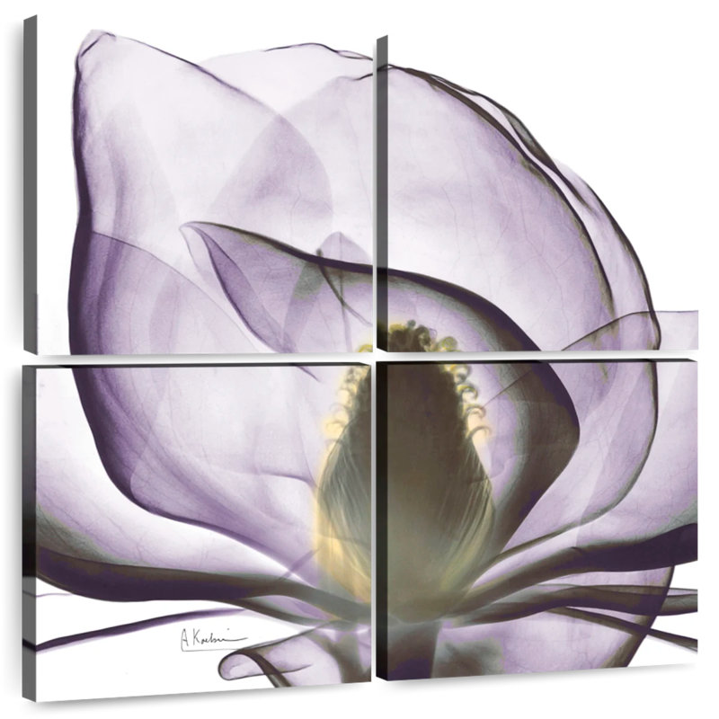 Harnek Magnolia X-ray