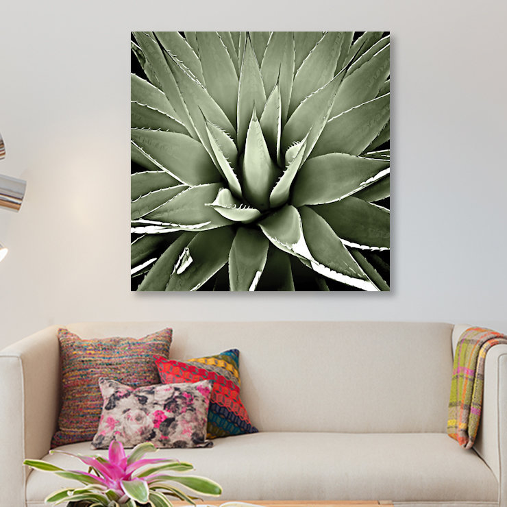 «Succulent III» par Mia Jensen - reproduction d'art sur toile tendue, H 12 po x l 12 po x P 1,5 po, Papier d'art encadré noir
