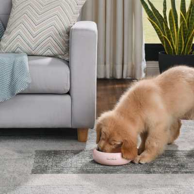 Sam's Pets Short Tulip Pet Bowl In Glossy