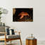 Crescent City Starfish Abstract Starfish Fish Beach City Wall Art Print 1 Piece Wrapped Canvas Wall Art-1542665303