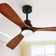 Atte 52'' Ceiling Fan with LED Lights