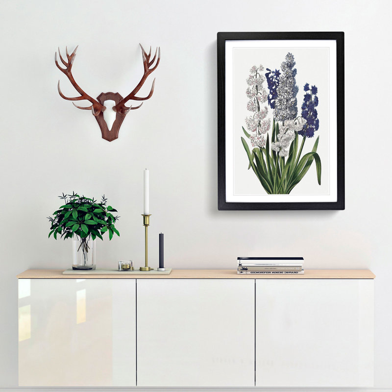 Hyacinth Flowers by R.J. Thornton - Framed Print, 65cm H x 48cm W x 2cm D, Black Framed