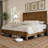  Adainville 48.4" Full Size Solid Wood Bed Frame With Panel Headboard,Black-284166720-284166723