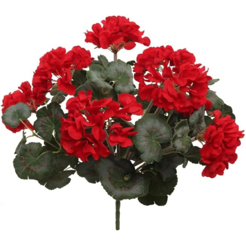 Red 18"nat Geranium Bush 20lv
