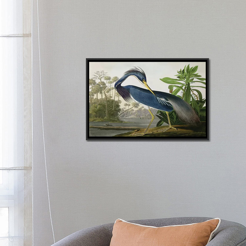 «Wick Louisiana Heron» par John James Audubon, reproduction sur toile, H 40 po x l 60 po, Impression encadrée, Noir patiné