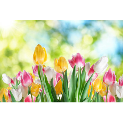 Tulipes de Valentynvolkov - photographie sur toile tendue