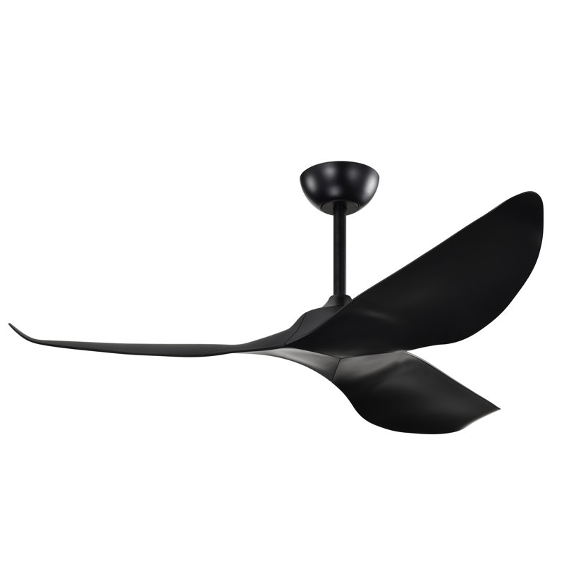 Duncan Modern 3 Bladed Ceiling Fan With Remote, Black, Matte Black