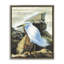 Cadre flottant Rocky Perch Coastal Cliff Bird, design par John Rossini-586403496-586403499