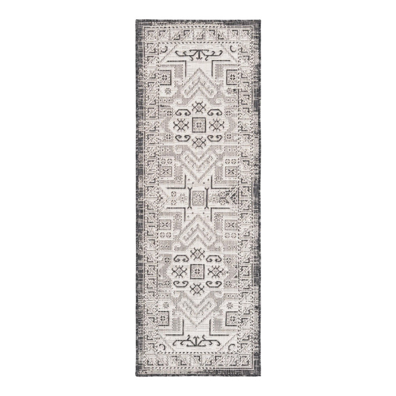 Alucard Indoor / Outdoor Rug, Runner 2' x 6'