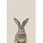 Gray Rabbit - Drawing on Canvas-517513683